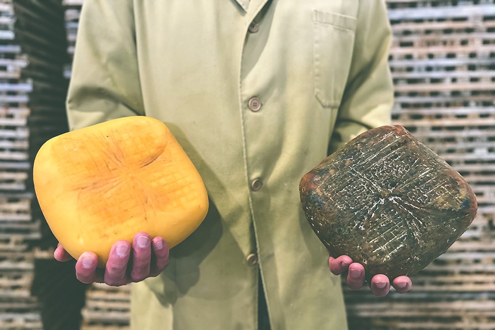 Dos medallas en los Worlds Cheese Awards 2023 para Queso Quintana